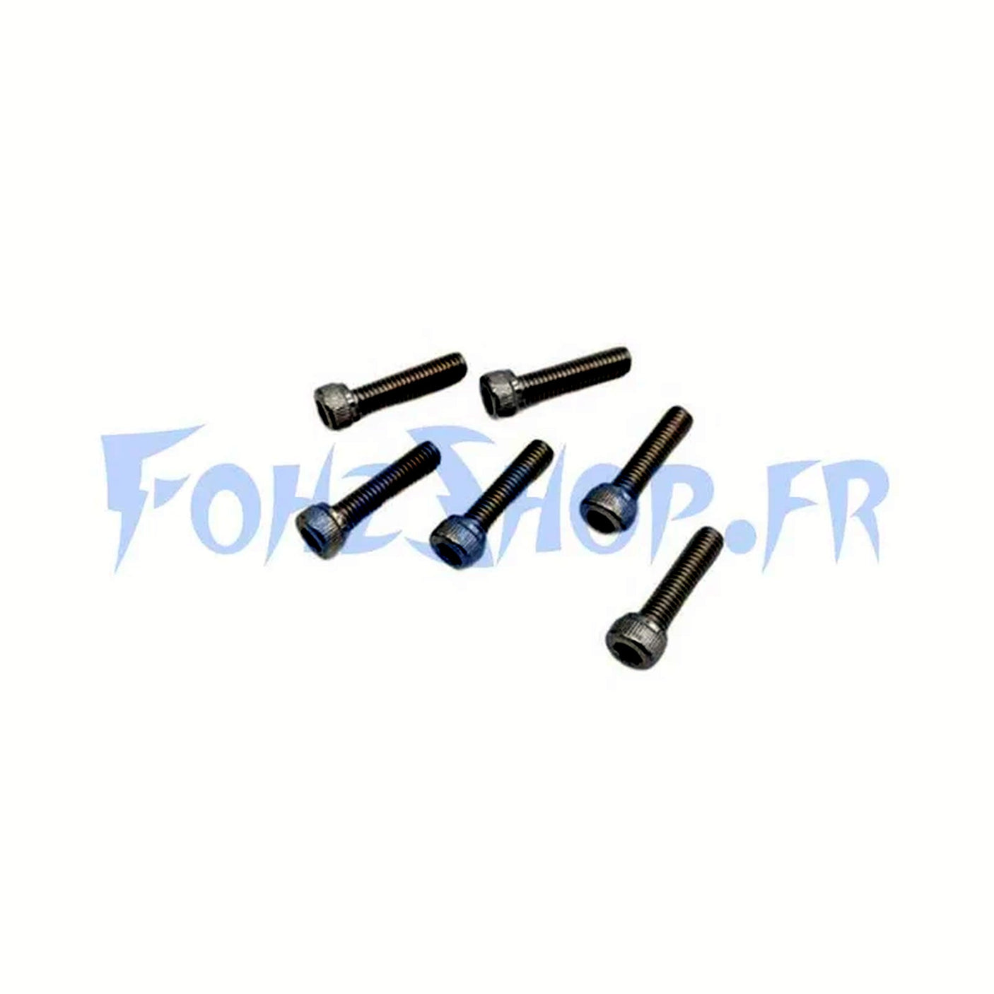 Vis BTR roue AR Dualtron Mini (x6)