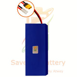 BMS Dualtron Mini V1 52V