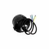 Joint moteur Dualtron Mini Victor etc.