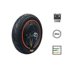 Moteur Ninebot F40 350W