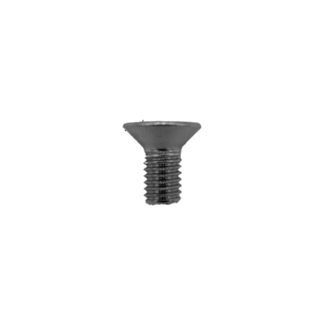 Vis Folding Dualtron Inox X10Pcs